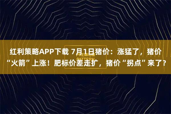 红利策略APP下载 7月1日猪价：涨猛了，猪价“火箭”上涨！肥标价差走扩，猪价“拐点”来了？